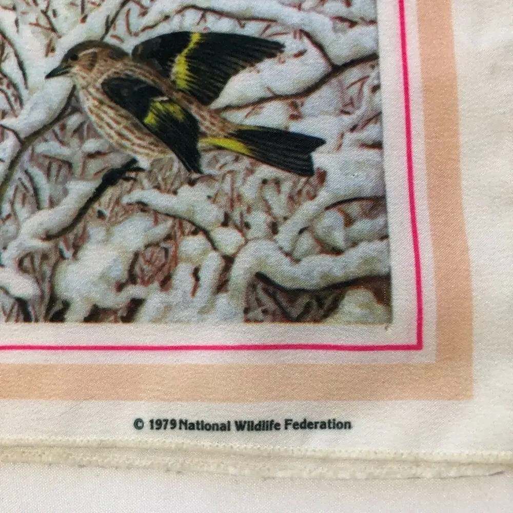 Vintage 1979 national wildlife federation bird scarf 12”x42” cardinal ducks art